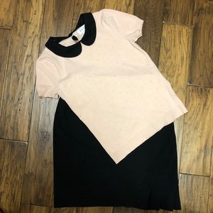 Knit Top with Peter Pan Removable False Collar